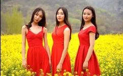 国产免费一区二区在线A片